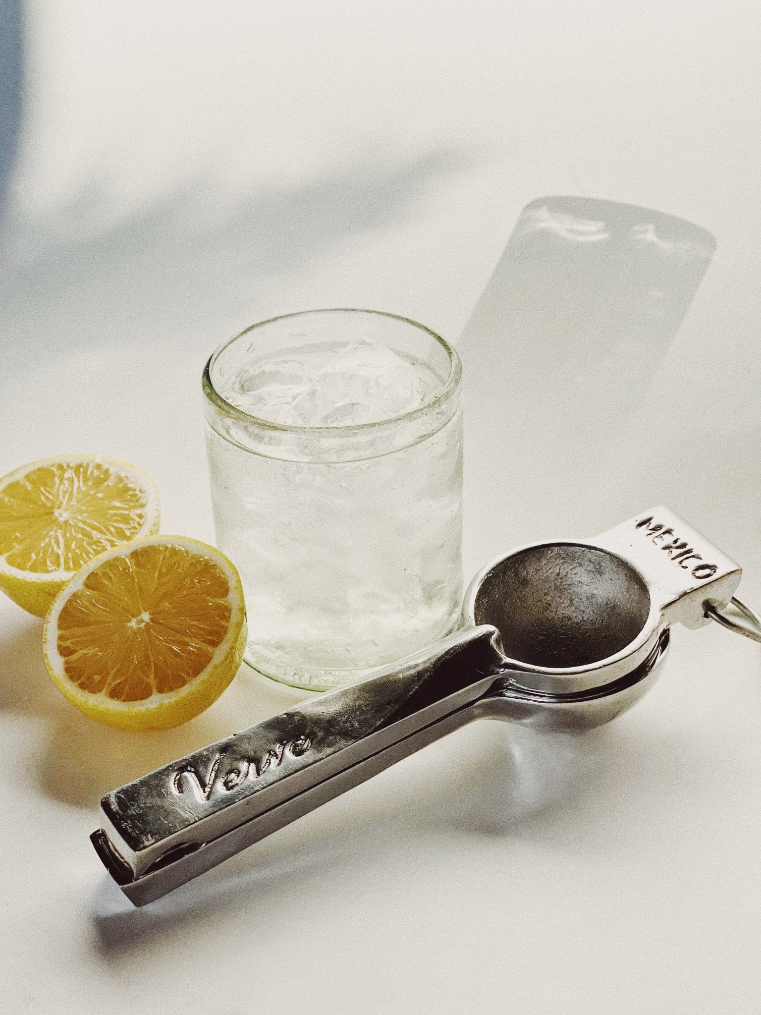 Aluminum Hand Juicer - The Tamale Company